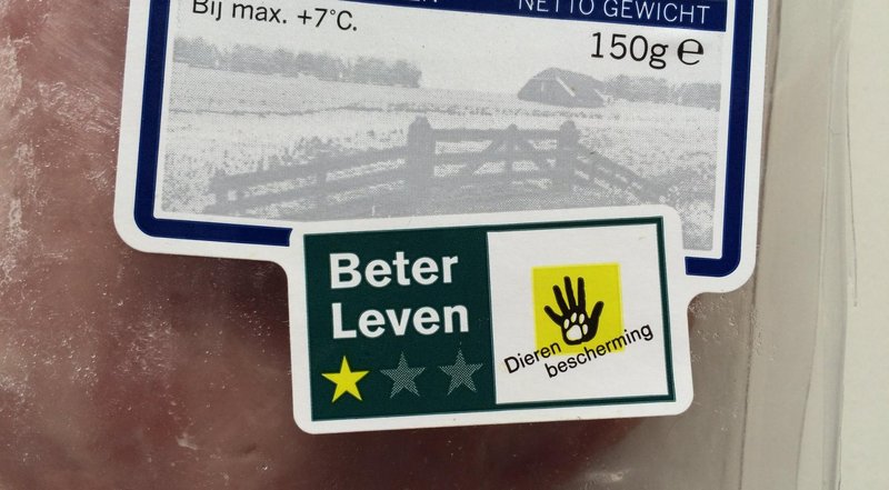 Netherlands - chicken road